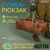 Сумка-баул мультикам похідна на 65 л рюкзак Мультикам, Койот